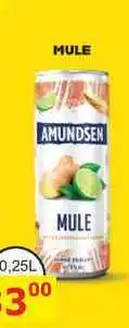 BENE Nápoje AMUNDSEN MULE 0,25l míchaný drink, plech nabídka