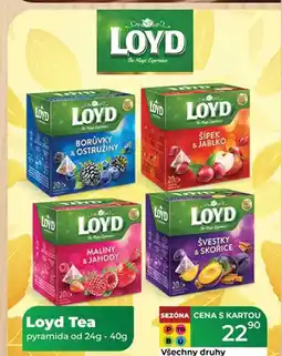 Tamda Foods Loyd Tea pyramida od 24g - 40g nabídka