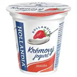 Terno Hollandia Krémový jogurt jahoda 125g nabídka