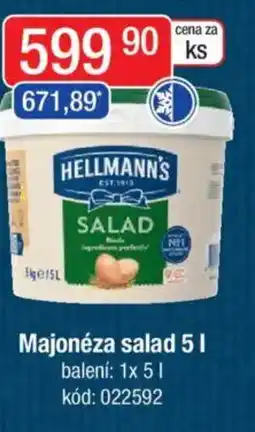 Qanto HELLMANN'S Majonéza salad nabídka