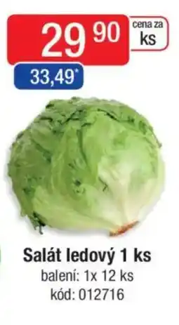 Qanto Salát ledový nabídka