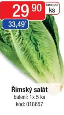 Qanto Římský salát nabídka