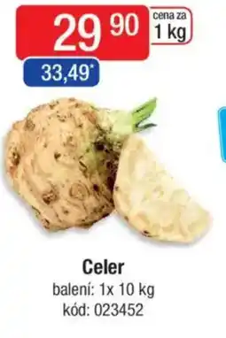 Qanto Celer nabídka