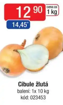 Qanto Cibule žlutá nabídka