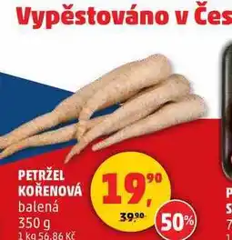 Penny Market PETRŽEL KOŘENOVÁ, 350 g nabídka