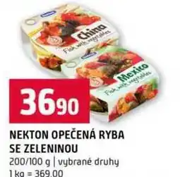 Terno NEKTON OPEČENÁ RYBA SE ZELENINOU 200/100 g nabídka