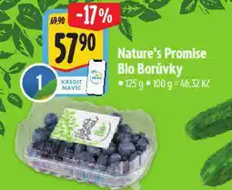 Albert Nature´s promise bio borůvky nabídka