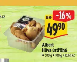 Albert Hlíva ústřičná nabídka