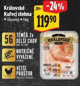 Albert Královské kuřecí stehna nabídka