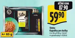 Albert Sheba kapsičky pro kočky nabídka