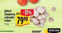 Albert Žampiony zahradní nabídka