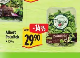Albert Polníček nabídka