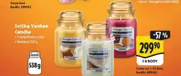 Albert Svíčka yankee candle nabídka
