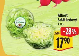 Albert Salát ledový nabídka