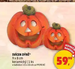 Penny Market SVÍCEN DÝNĚ, 1 ks nabídka
