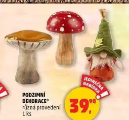 Penny Market PODZIMNÍ DEKORACE, 1 ks nabídka