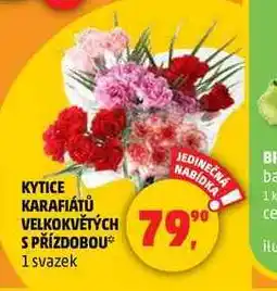 Penny Market KYTICE KARAFIÁTŮ VELKOKVĚTÝCH S PŘÍZDOBOU, 1 svazek nabídka