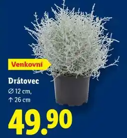 Lidl DRÁTOVEC nabídka