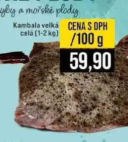 Jip Kambala velká celá 100 g nabídka