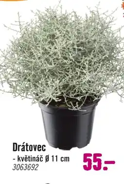 Hornbach Drátovec nabídka