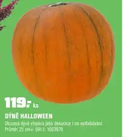 OBI Dýně halloween nabídka