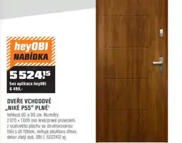 OBI Dveře vchodové „niké p55" plné¹ nabídka