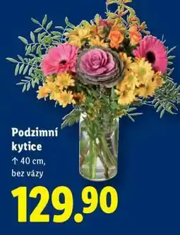 Lidl PODZIMNÍ KYTICE nabídka