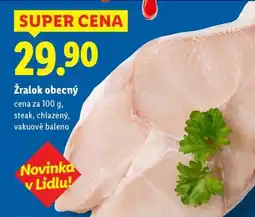 Lidl Žralok obecný nabídka
