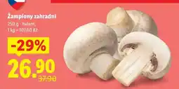 Lidl ŽAMPIONY ZAHRADNÍ nabídka