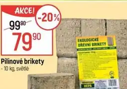 Globus Pilinové brikety nabídka