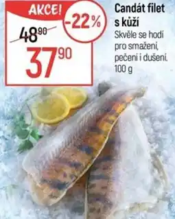 Globus Candát filet s kůží nabídka