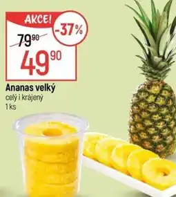 Globus Ananas velký nabídka