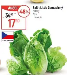 Globus Salát Little Gem zelený nabídka