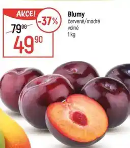 Globus Blumy červené/modré nabídka