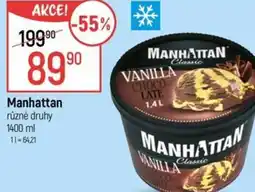 Globus Manhattan nabídka