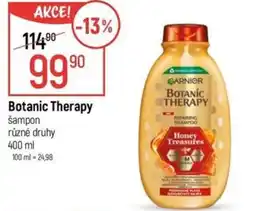 Globus GARNIER Botanic Therapy šampon nabídka