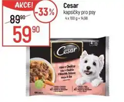 Globus Cesar kapsičky pro psy nabídka