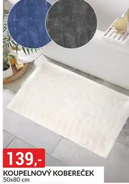 Baumax Koupelnový kobereček 50x80 cm nabídka