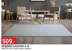 Baumax Koberee havana-a nabídka