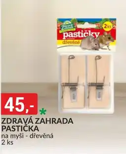 Baumax Zdravá zahrada pastička nabídka