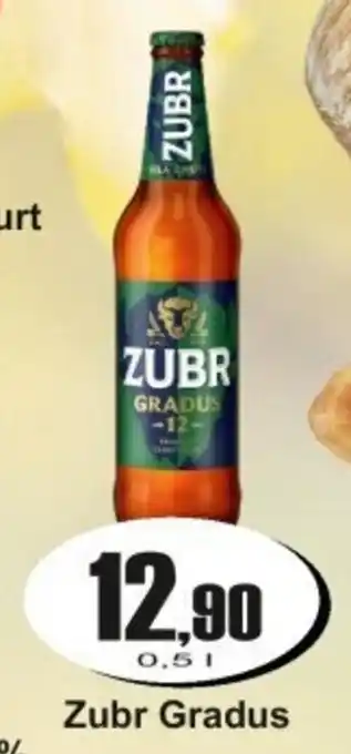 Zubr Gradus