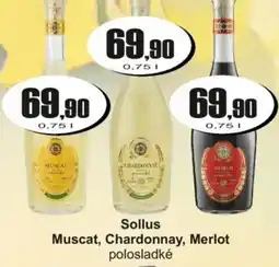 Adam Sollus Muscat, Chardonnay, Merlot nabídka