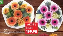 Kaufland Kytice - Růže, germini, eryngium nabídka