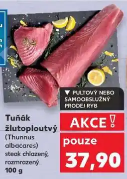 Kaufland Tuňák žlutoploutvý nabídka