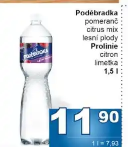 Jip Poděbradka nabídka