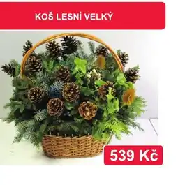 Fortel Koš lesní velký nabídka