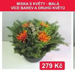 Fortel Miska s květy nabídka