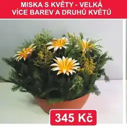 Fortel Miska s květy nabídka
