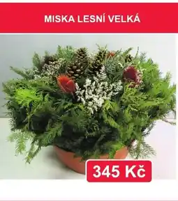 Fortel Miska lesní velká nabídka