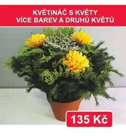 Fortel Květináč s květy nabídka